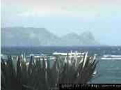 Click here to visit the Maui Windcam